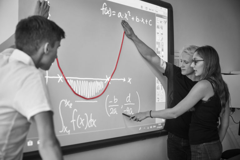 Fagligheden og anstrengelsens poesi. Institut for Ledelse og Forvaltning, 2015