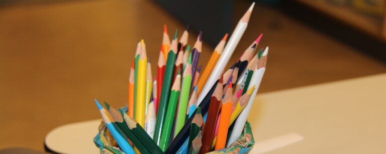 Foreningen for Mellemlederne (VIIS)