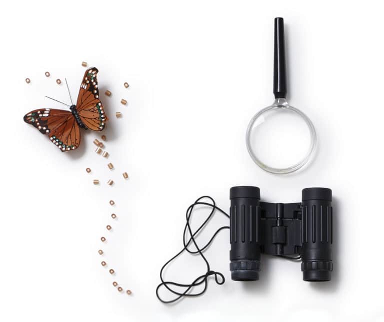 Selvevalueringsnetværk