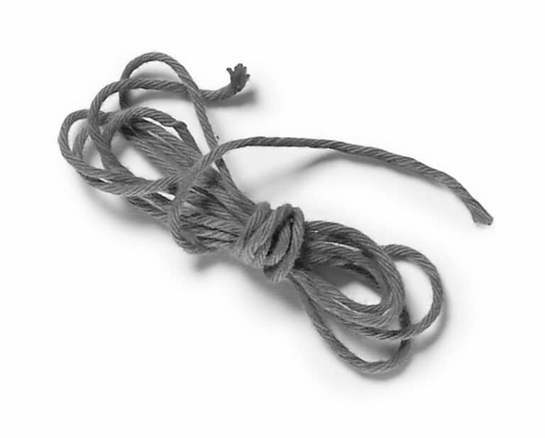 Indledning | Sagen og de fælles værdier