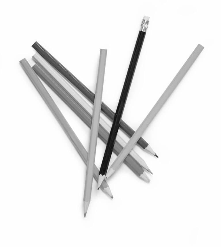 Trivselsdagsordenen | Fællesskabets betydning